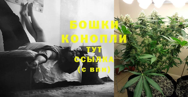 соль ск Аркадак