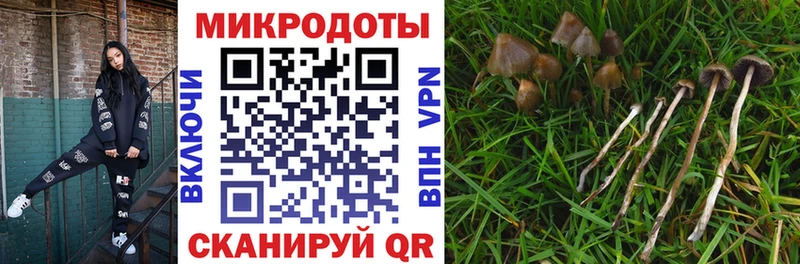 Псилоцибиновые грибы мицелий  Ревда 